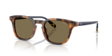 Shiny Tortoise / Brown (608973)