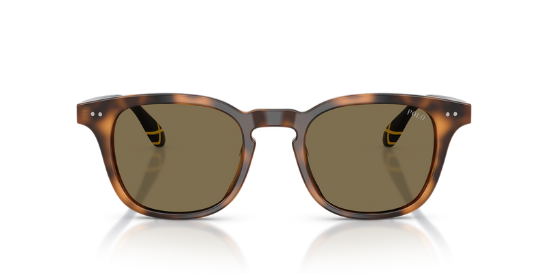 Polo Ralph Lauren PH4251U in Shiny Tortoise - Alternate View