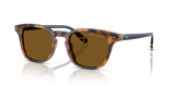 Shiny Tortoise / Polarized Brown (608983)