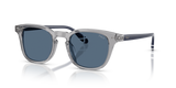 Shiny Transparent Grey / Dark Blue (631780)