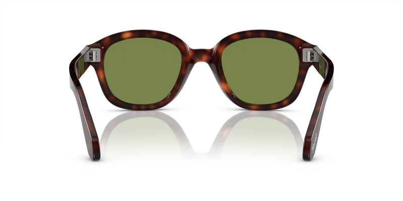 Persol PO0060S in Havana / Green (24/4E) - Alternate View