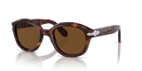 Havana / Polarized Brown (24/57)