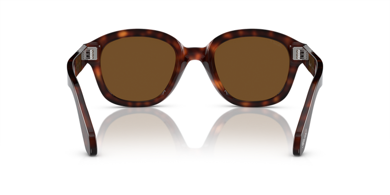 Persol PO0060S in Havana / Polarized Brown (24/57) - Alternate View