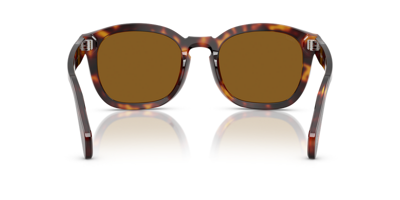 Persol PO0082S in Havana / Brown (24/33) - Alternate View