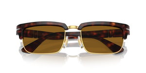 Tortoise Brown/Gold / Brown (24/33)