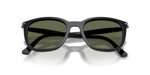 Black / Polarized Green (95/58)