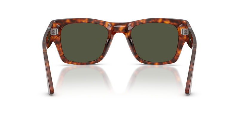 Persol PO3384S in Havana / Green (24/31) - Alternate View