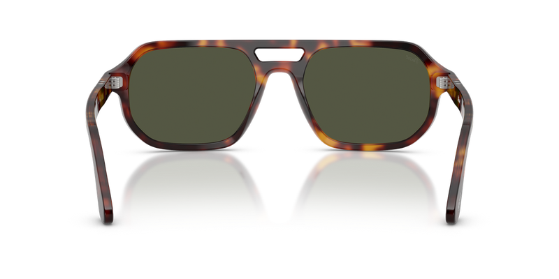 Persol GUIDO in Havana / Green (24/31) - Alternate View