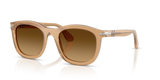 Opal Beige / Light Brown Gradient Dark Brow (116985)
