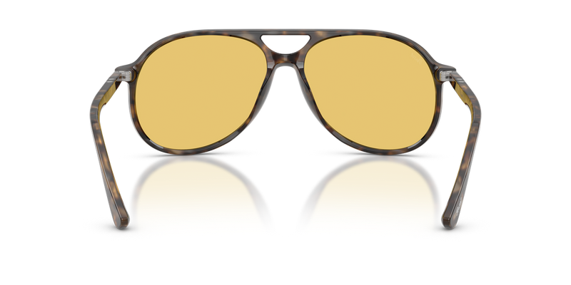 Persol WALTER in Dark Havana - Alternate View
