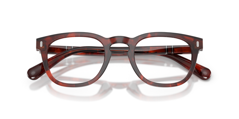 Persol GIANNI in Red Brownish Havana - Alternate View