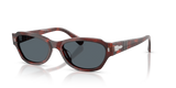 Red Brownish Havana / Blue (1242R5)