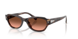 Light Havana / Pink Gradient Brown (1246A5)