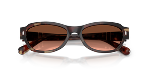 Light Havana / Pink Gradient Brown (1246A5)