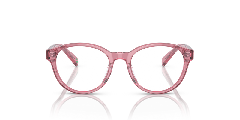 Polo Prep 0PP8546U in Shiny Transparent Rose - Alternate View