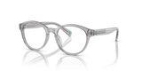 Shiny Transparent Grey / Demo Lens (5413)