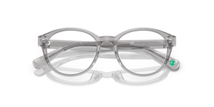 Shiny Transparent Grey / Demo Lens (5413)
