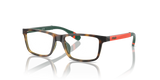 Shiny Havana / Demo Lens (5003)