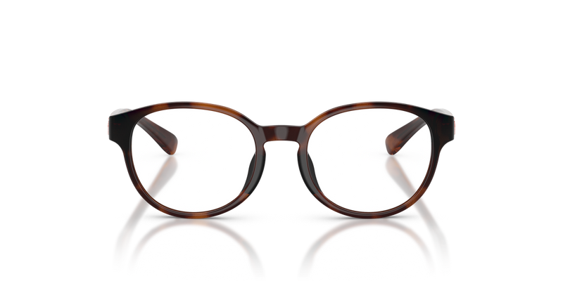 Polo Prep 0PP8550U in Shiny Caramel Havana - Alternate View