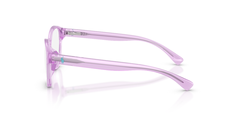 Polo Prep 0PP8550U in Shiny Transparent Purple - Alternate View
