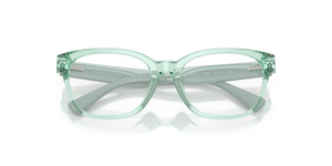 Shiny Transparent Light Green / Demo Lens (6367)