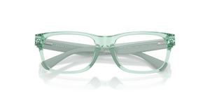 Shiny Transparent Light Green / Demo Lens (6367)