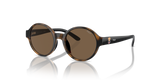 Shiny Dark Havana / Brown (500373)