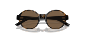 Shiny Dark Havana / Brown (500373)