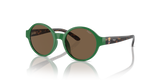 Shiny Green / Brown (619273)