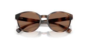 Shiny Dark Havana / Dark Brown (597473)