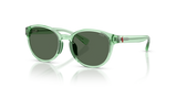 Shiny Transparent Light Green / Dark Green (625071)