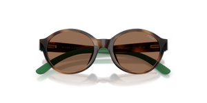 Shiny Dark Havana / Dark Brown (500373)