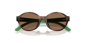 Shiny Dark Havana / Dark Brown (597473)
