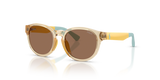 Shiny Transparent Light Yellow / Dark Brown (575673)