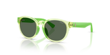 Shiny Transparent Green / Dark Green (636571)