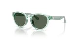 Shiny Transparent Light Green / Dark Green (636771)