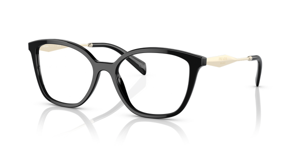 Prada PR 02ZVF