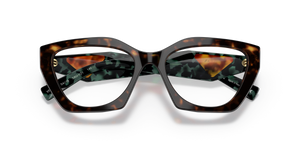 Tortoise / Demo Lens (2AU1O1)