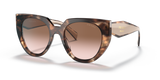 Caramel Tortoise/Powder / Brown Gradient (01R0A6)