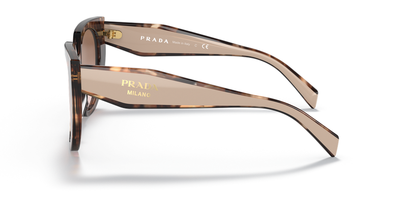 Prada PR 14WSF in Caramel Tortoise/Powder / Brown Gradient (01R0A6) - Back View