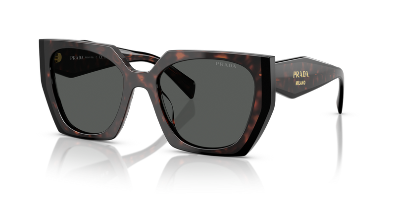 Prada PR 15WSF in Root/Black / Dark Grey (24B40L) - Alternate View