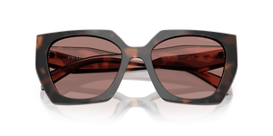Mauve Tortoise / Light Brown (23A60B)