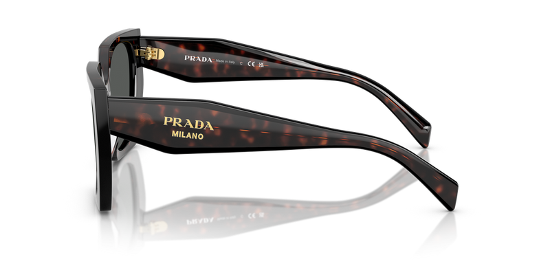 Prada PR 15WS in Root/Black / Dark Grey (24B40L) - Alternate View