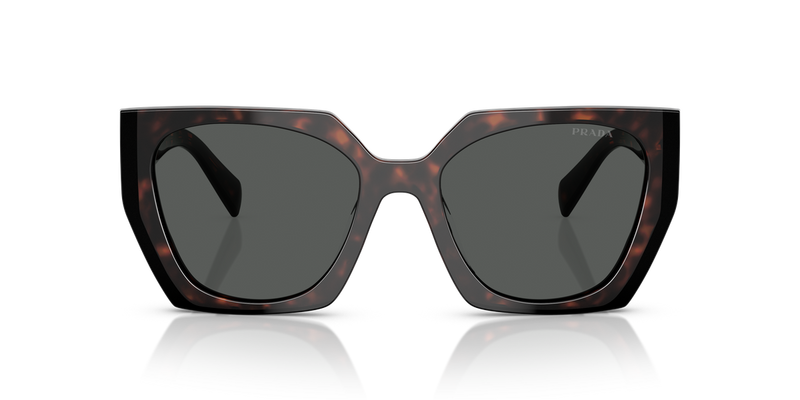 Prada PR 15WS in Root/Black / Dark Grey (24B40L) - Alternate View