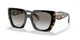 Black/Medium Tortoise / Grey Gradient (3890A7)