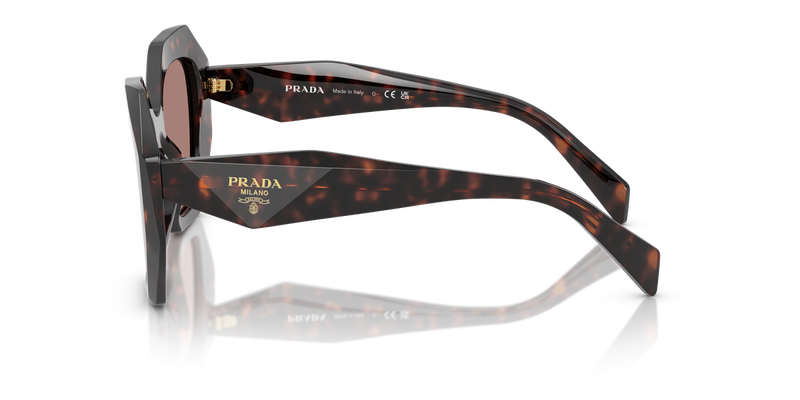 Prada PR 16WS in Root Tortoise / Light Brown (17N60B) - Back View