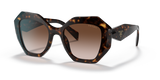 Tortoise / Brown Gradient (2AU6S1)