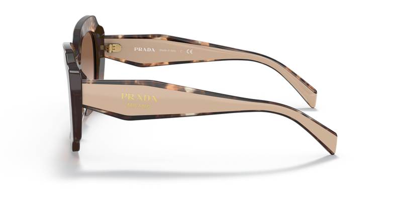 Prada PR 16YSF in Havana - Back View