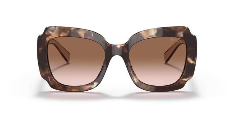 Prada PR 16YSF in Havana - Alternate View