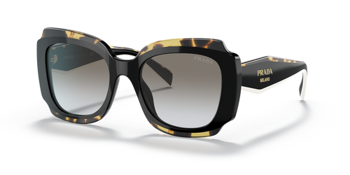 Black/Havana / Dark Grey (01M0A7)